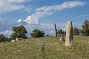 Menhir Sa Perda Longa Tortolì  