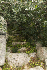 Nuraghe Albucciu Arzachena