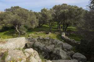 Nuraghe Albucciu Arzachena