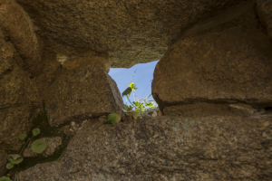 Nuraghe Albucciu Arzachena