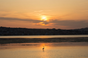 Isola di Sant'Antioco