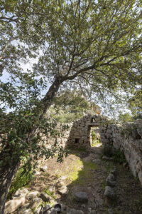 Tempietto di Malchittu Arzachena