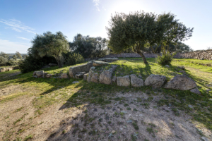 Tomba dei Giganti di Moru Arzachena